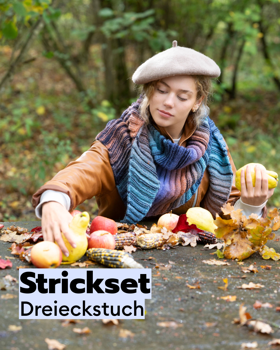 Strickset Dreieckstuch