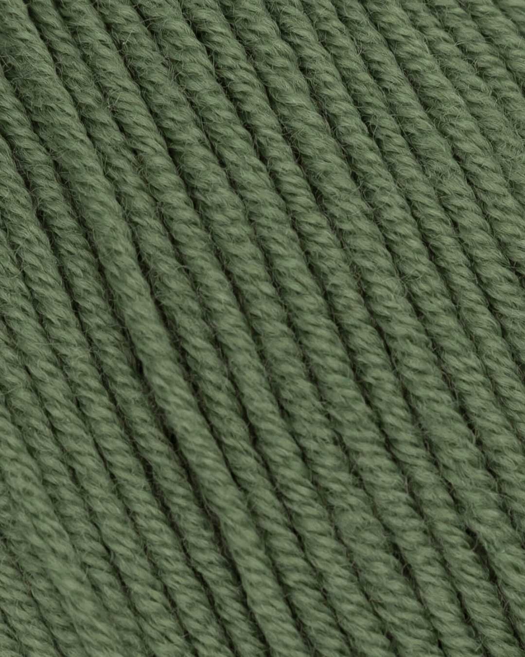 Merino Mio