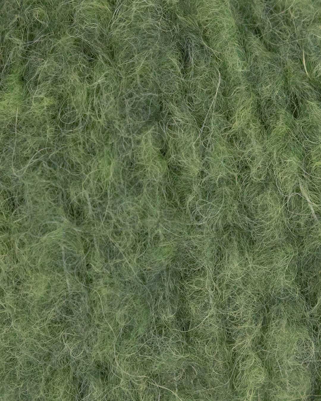 Dolce Alpaca