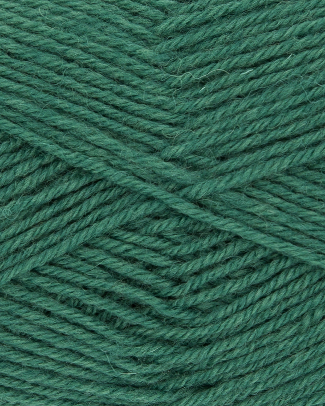 Hot Socks uni 100