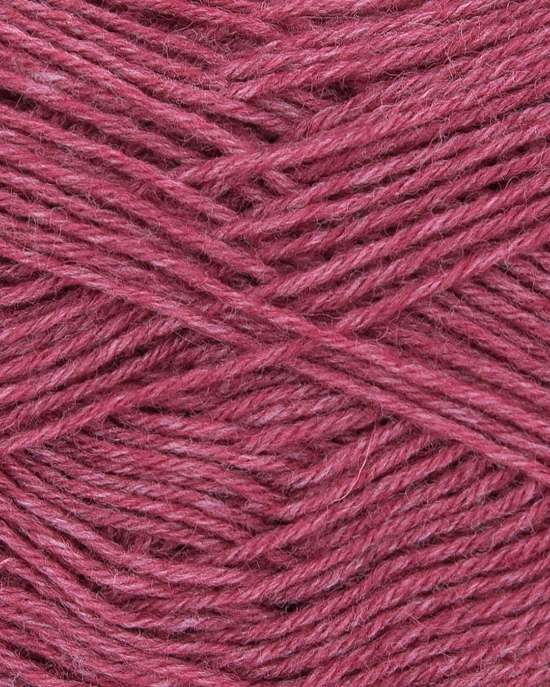 Hot Socks uni 50