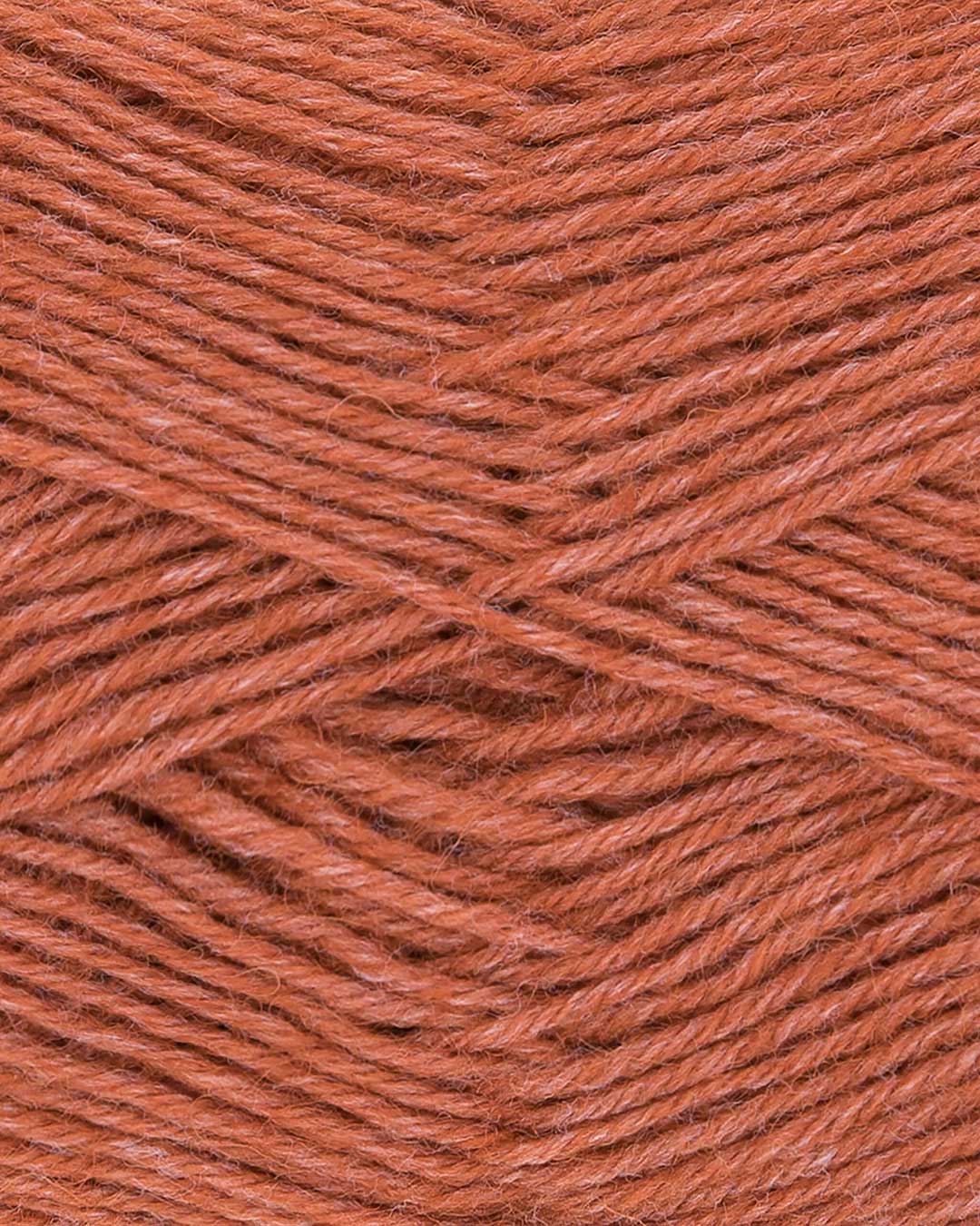 Hot Socks uni 50